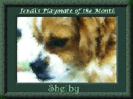 Jendi's Playmate of the Month